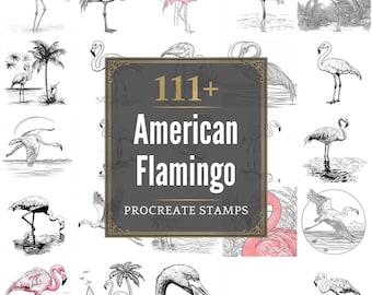 Plus de 111 pinceaux Procreate American Flamingo | Procréer des timbres | Fichiers PNG | Téléchargement instantané