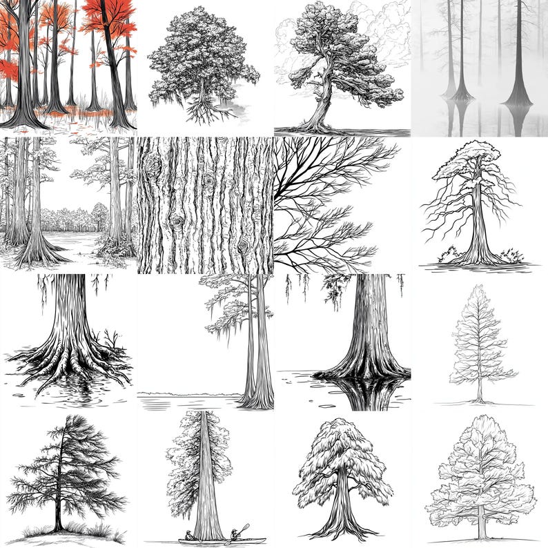 111+ Procreate Bald Cypress Tree Brushes | Procreate Stamps | PNG Files ...