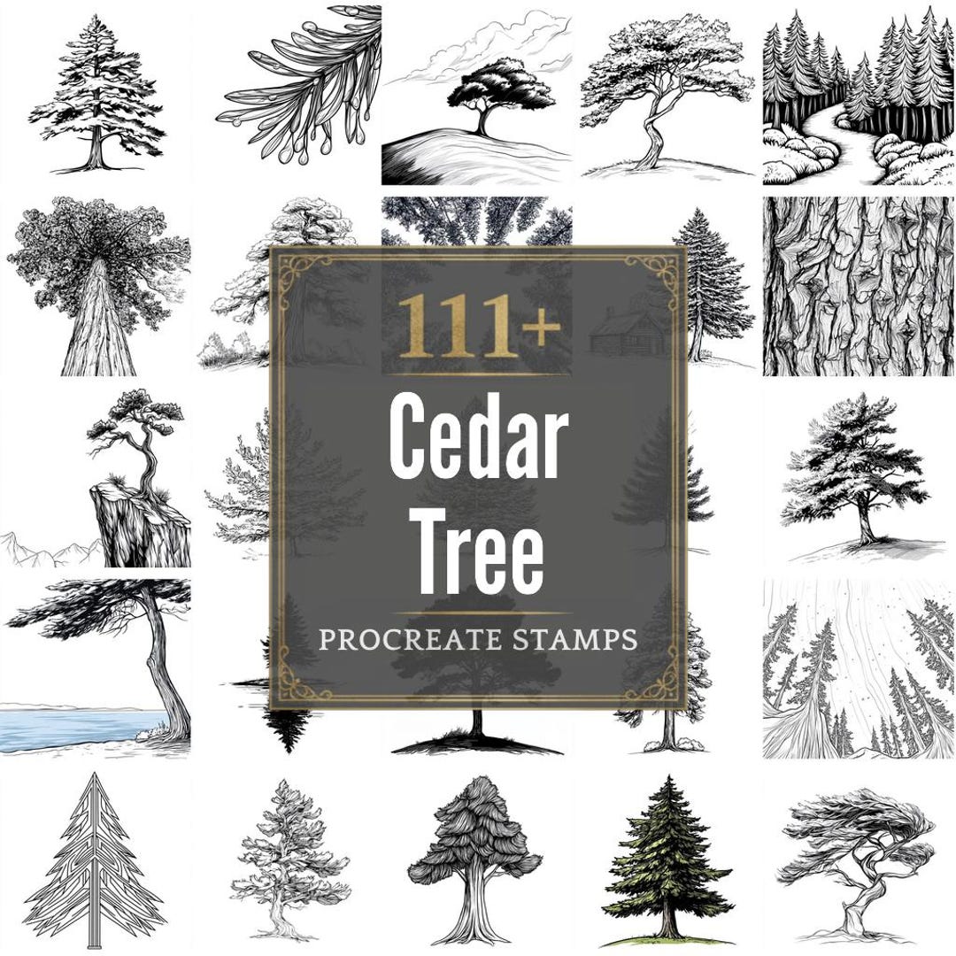 111+ Procreate Cedar Tree Brushes | Procreate Stamps | PNG Files ...