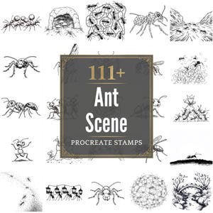 May include: A selection of black and white ant drawings, showing ants carrying items, in a nest, and in different positions. The image includes the text "111+ Ant Scene Procreate Stamps" within a dark grey frame.