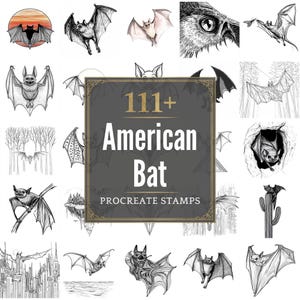 111+ Procreate American Bat Brushes | Procreate Stamps | PNG Files | Instant Download