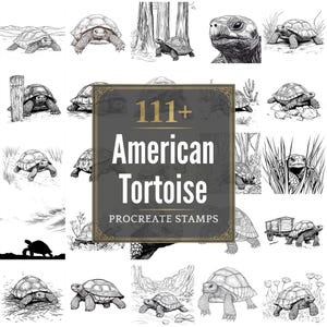 May include: A collection of black and white illustrations of American tortoises in various poses and settings. The image includes a central graphic with the text "111+ American Tortoise Procreate Stamps". The illustrations depict tortoises in natural environments.