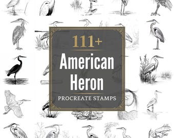 Plus de 111 pinceaux Procreate American Heron | Procréer des timbres | Fichiers PNG | Téléchargement instantané
