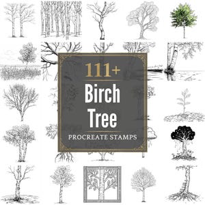May include: A collection of 111+ birch tree Procreate stamps in various styles. The image showcases detailed illustrations of birch trees, including bare trees, trees with leaves, and stylized designs, all in black and white.