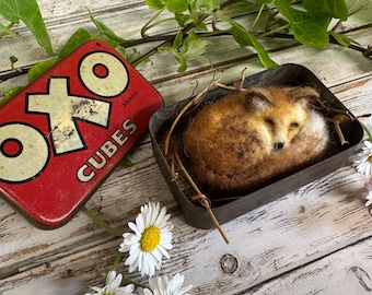 Felted Fox in a vintage tin - fox gifts - cottagecore