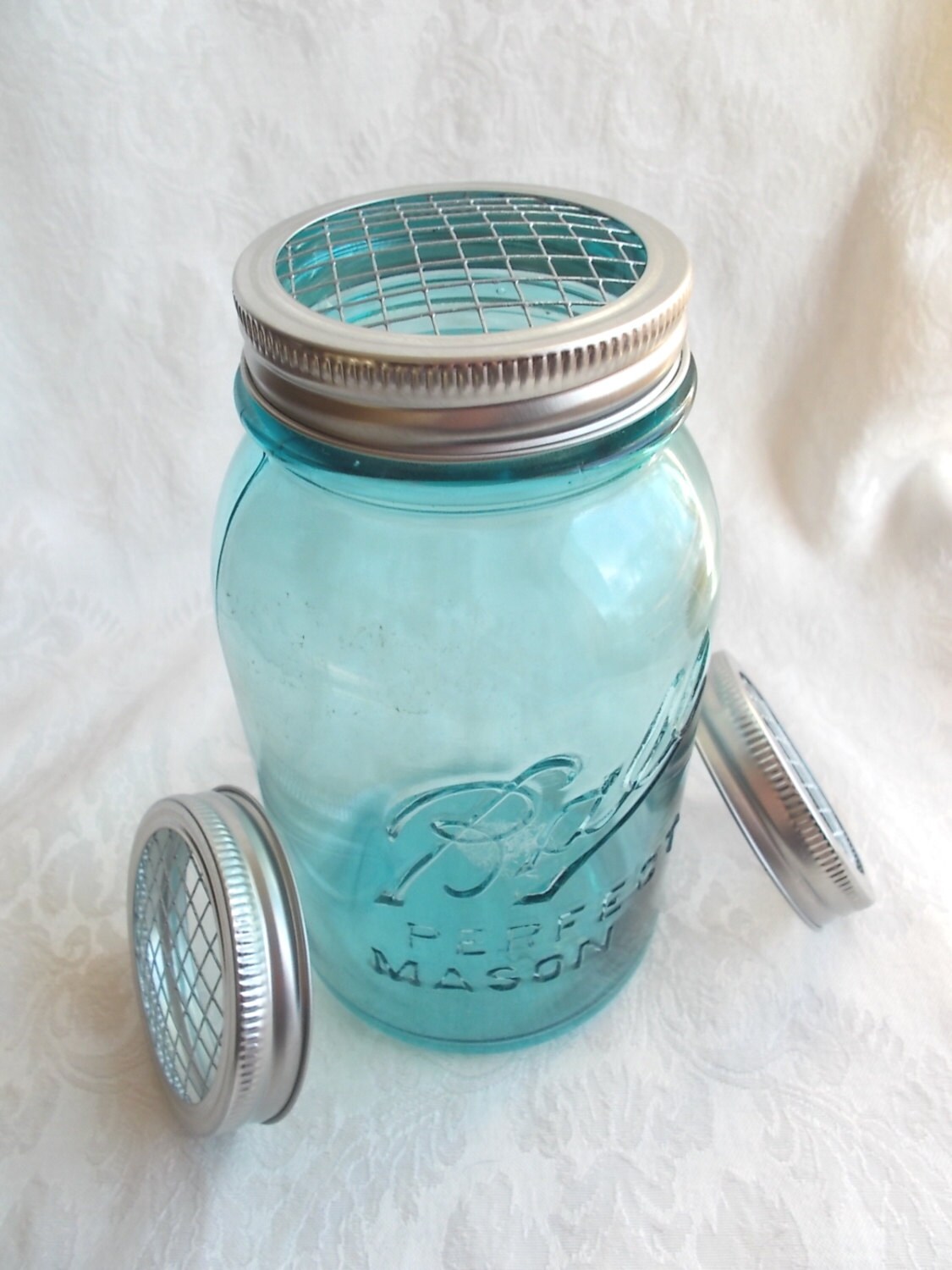Galvanzed Metal Flower Organzer Frog Ld For Mason Jars