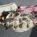 see more listings in the Baby Bloomers section