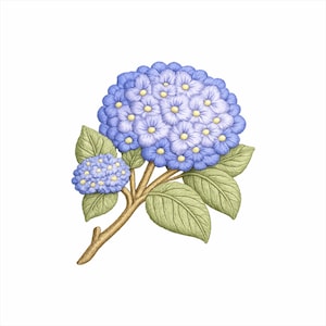 Könnte beinhalten: Detaillierte Illustration einer blauen Hortensienblüte mit gelben Zentren, grünen Blättern und einem braunen Stiel. Die Blüte steht in voller Blüte und zeigt die komplizierte Anordnung ihrer Blütenblätter. Das Bild ist vor einem weißen Hintergrund.