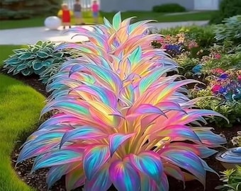 Hosta para plantar: planta perenne de colores, poco común, ideal para plantar debajo de los árboles.