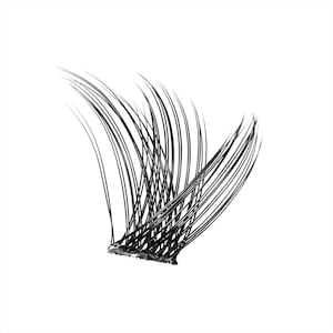 Op de afbeelding: Een cluster van zwarte valse wimpers, in een gebogen vorm. De individuele wimpers zijn lang en slank, bevestigd aan een dunne, donkere basis. De achtergrond is effen wit.