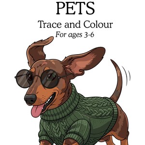 May include: A cartoon illustration of a dachshund wearing sunglasses and a green cable-knit sweater. The image includes the text "PETS Trace and Colour For ages 3-6". The dog is brown and tan with its tongue out.