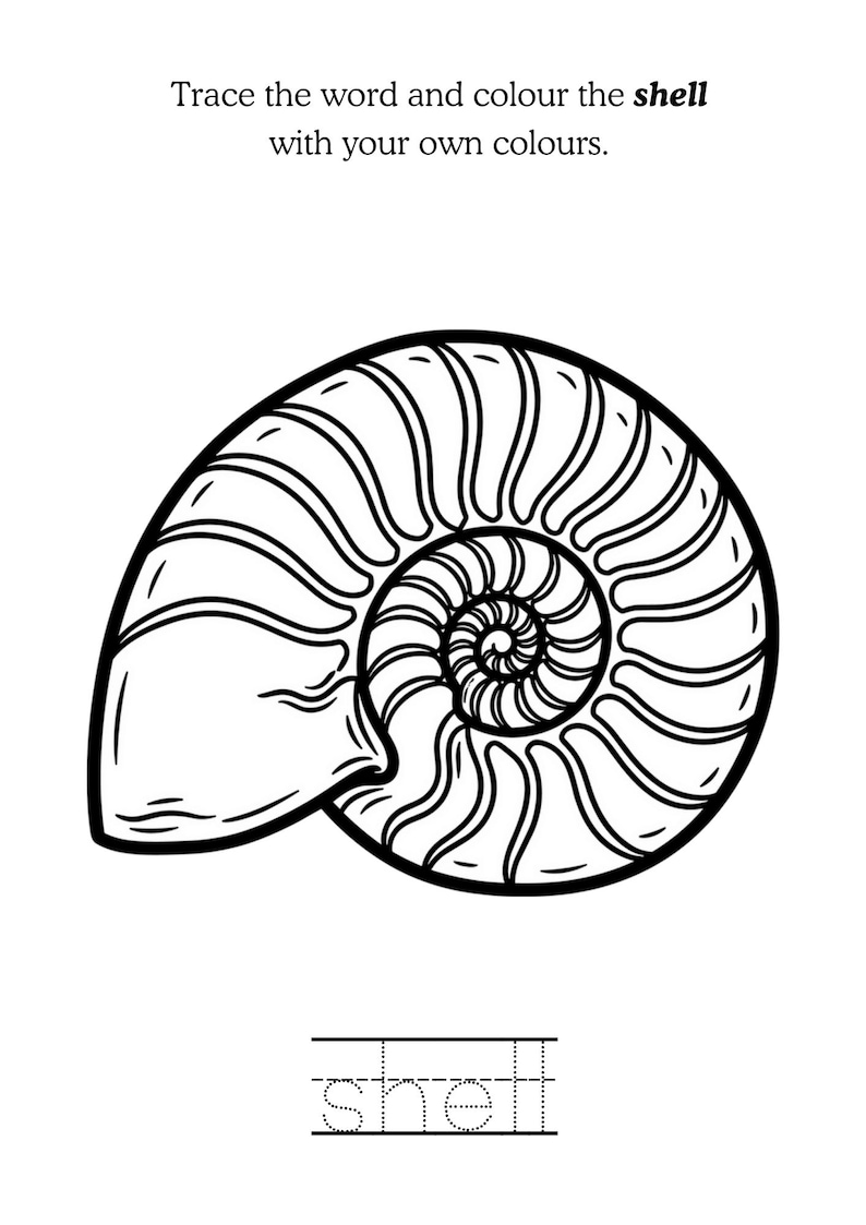 Let's Learn the Beach - Trace and Colour (PDF File) (for Ages 3 - 6 ...