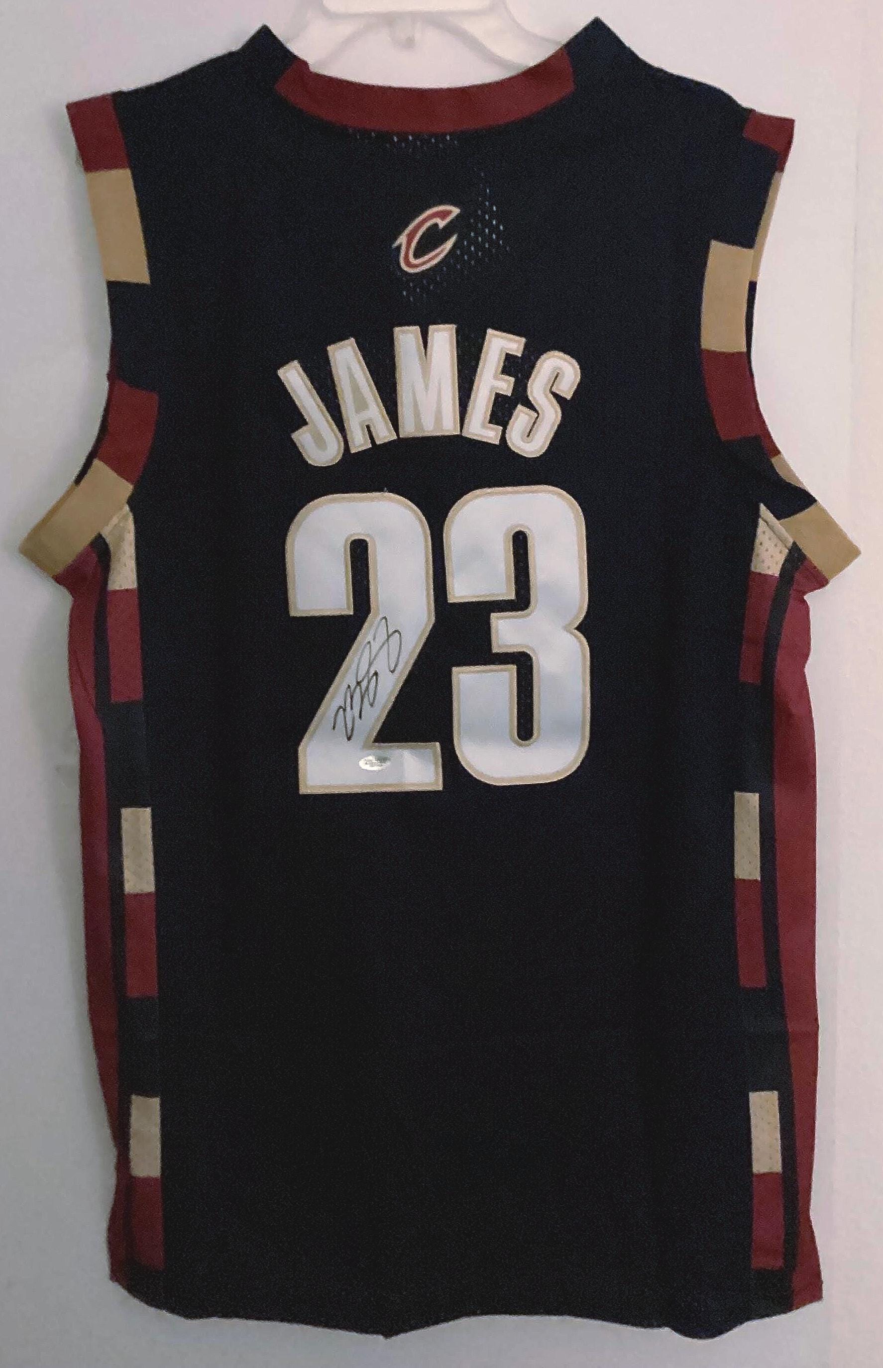 lebron vice jersey