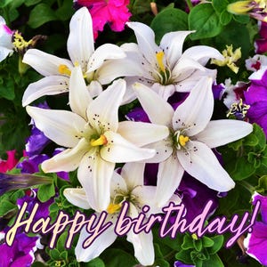 Tarjeta digital y foto de lirio blanco con petunias moradas: Fotografía de naturaleza floral (descarga digital)