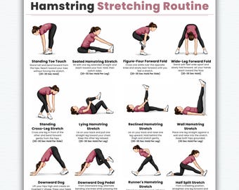 Hamstring Stretching Exercises Printable | Leg Flexibility & Mobility Routine | Lower Body Stretch Workout PDF Chart | Home Fitness Wall Art
