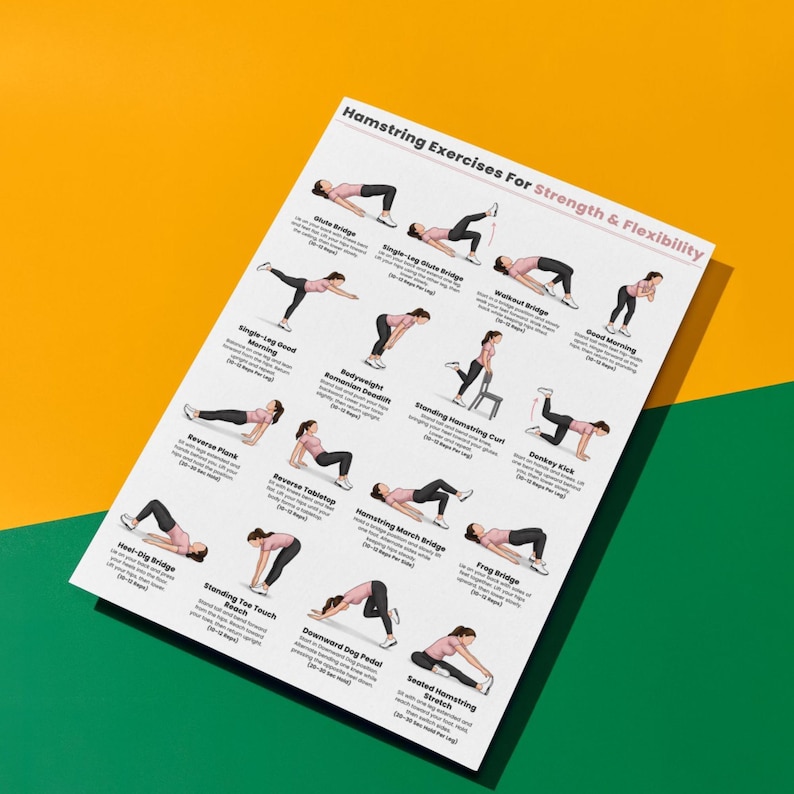 May include: A white instructional poster titled Hamstring Exercises For Strength & Flexibility featuring illustrations of various exercises including Glute Bridge, Single-Leg Glute Bridge, Walkout Bridge, Good Morning, and others with text descriptions.