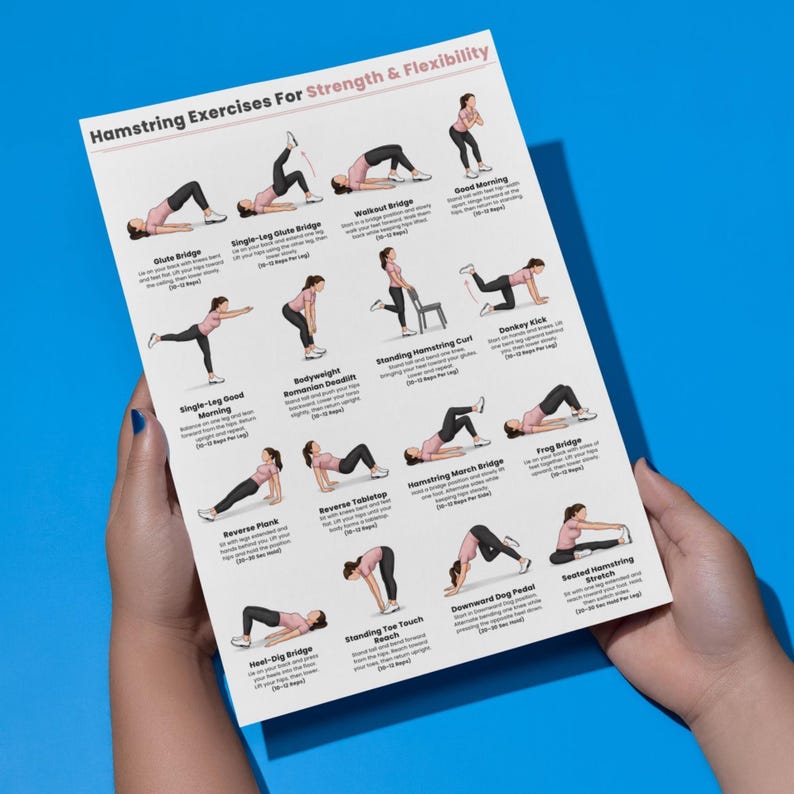 May include: A white instructional poster titled Hamstring Exercises For Strength & Flexibility, featuring illustrations of various exercises including Glute Bridge, Single-Leg Glute Bridge, Walkout Bridge, Good Morning, Single-Leg Good Morning, Bodyweight Romanian Deadlift, Standing Hamstring Curl, Donkey Kick, Reverse Plank, Reverse Tabletop, Hamstring March Bridge, Frog Bridge, Heel-Dig Bridge, Standing Toe Touch Reach, Downward Dog Pedal, and Seated Hamstring Stretch.