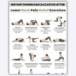 May include: A printable guide titled "Lower Back Pain Relief Exercises" with illustrations of various stretches. The exercises include Pelvic Tilt, Knee to Chest Stretch, Double Knee to Chest, Cat-Cow Stretch, Child's Pose, Bird Dog, Glute Bridge, and Supine Twist.