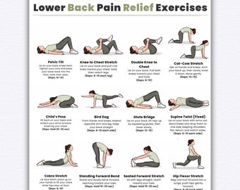 Lower Back Pain Relief Exercises | 16 Easy Stretch & Mobility Workout Chart | No Equipment Back Pain Relief Printable | Digital Download