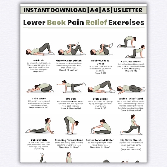 Lower Back Pain Relief Exercises | 16 Easy Stretch & Mobility Workout Chart | No Equipment Back Pain Relief Printable | Digital Download