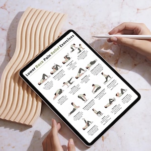 Ejercicios para aliviar el dolor lumbar / Tabla de 16 ejercicios fáciles de estiramiento y movilidad / Imprimible para aliviar el dolor de espalda sin equipo / Descarga digital imagen 7