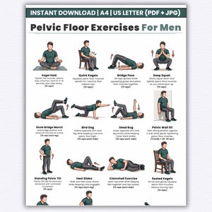 Puede incluir: Una guía descargable en PDF y JPG titulada "Pelvic Floor Exercises For Men" con ilustraciones de ejercicios. Incluye Kegel Hold, Quick Kegels, Bridge Pose, Deep Squat, Glute Bridge March, Bird Dog, Dead Bug, Pelvic Wall Sit, Standing Pelvic Tilt, Heel Slides, Clamshell Exercise y Seated Kegels.