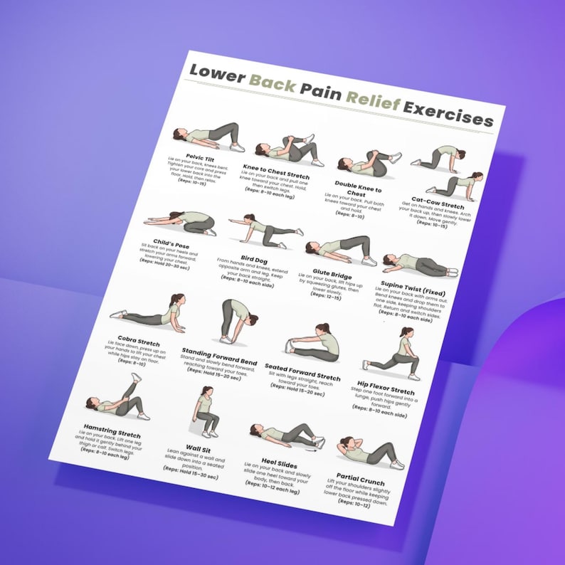 Ejercicios para aliviar el dolor lumbar / Tabla de 16 ejercicios fáciles de estiramiento y movilidad / Imprimible para aliviar el dolor de espalda sin equipo / Descarga digital imagen 12