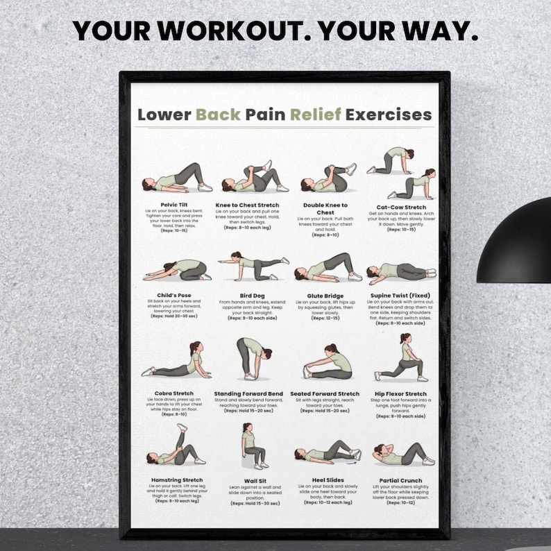 Ejercicios para aliviar el dolor lumbar / Tabla de 16 ejercicios fáciles de estiramiento y movilidad / Imprimible para aliviar el dolor de espalda sin equipo / Descarga digital imagen 2