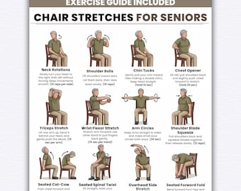 Printable Chair Stretches for Seniors, Seated Stretch Routine, Gentle Chair Exercises, Low Impact Mobility & Flexibility PDF Download