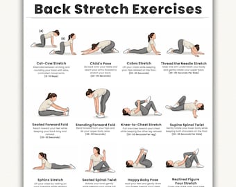 Back Stretch Exercises Printable  16 Upper & Lower Back Stretching Exercises  Pain Relief, Flexibility and Mobility PDF  Digital Download