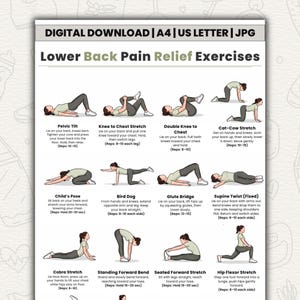 Esercizi per alleviare il mal di schiena lombare / Tabella di 16 semplici esercizi di stretching e mobilità / Esercizi per alleviare il mal di schiena senza attrezzi (stampabile) / Download digitale