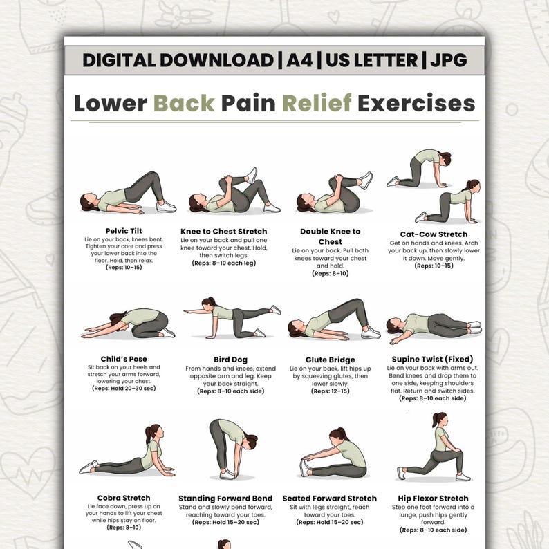 Ejercicios para aliviar el dolor lumbar / Tabla de 16 ejercicios fáciles de estiramiento y movilidad / Imprimible para aliviar el dolor de espalda sin equipo / Descarga digital imagen 1