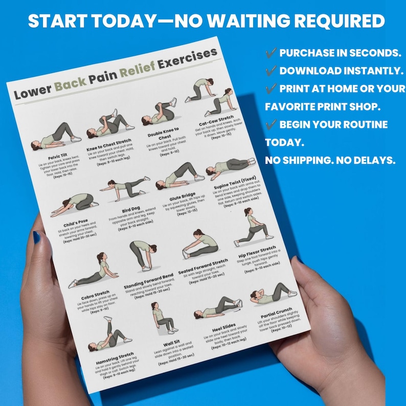 Ejercicios para aliviar el dolor lumbar / Tabla de 16 ejercicios fáciles de estiramiento y movilidad / Imprimible para aliviar el dolor de espalda sin equipo / Descarga digital imagen 4