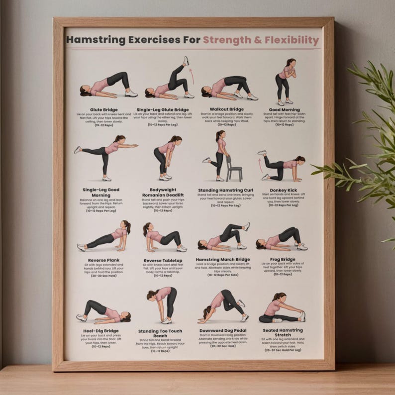 May include: A framed instructional poster titled Hamstring Exercises For Strength & Flexibility. It features twelve illustrated figures performing various exercises with descriptive text and repetition counts for each movement on a light background.