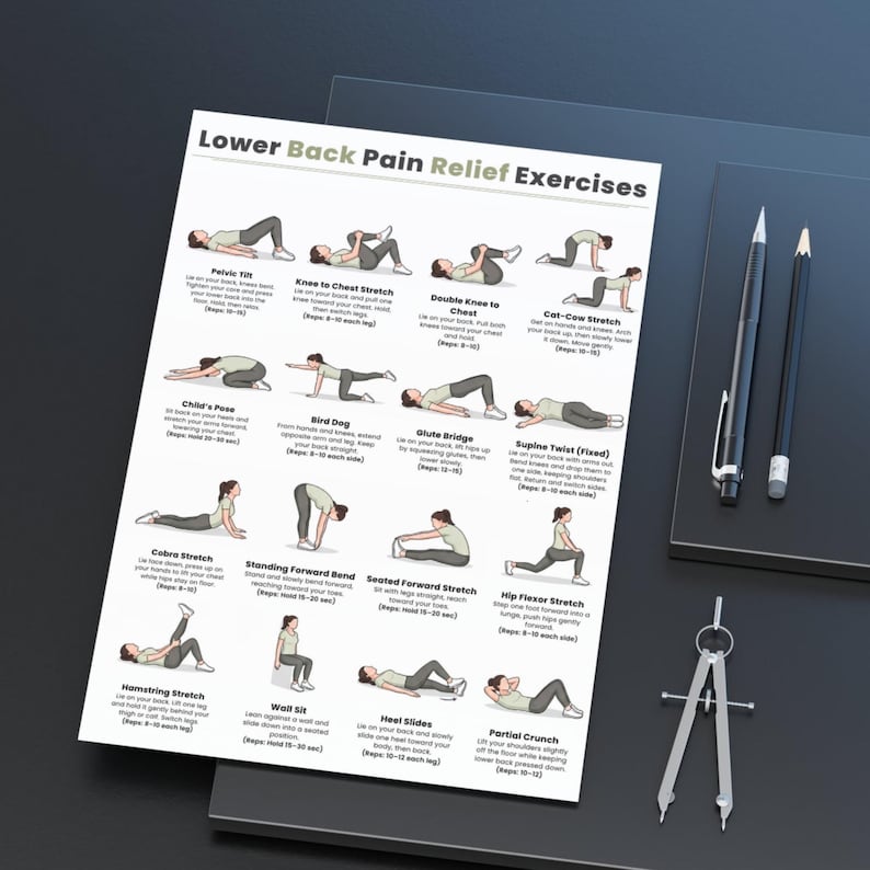 Ejercicios para aliviar el dolor lumbar / Tabla de 16 ejercicios fáciles de estiramiento y movilidad / Imprimible para aliviar el dolor de espalda sin equipo / Descarga digital imagen 8
