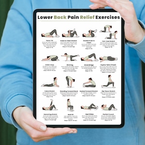 Ejercicios para aliviar el dolor lumbar / Tabla de 16 ejercicios fáciles de estiramiento y movilidad / Imprimible para aliviar el dolor de espalda sin equipo / Descarga digital imagen 11