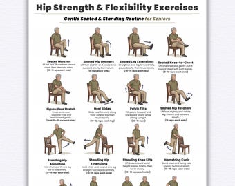 Hip Strength & Flexibility Exercises for Seniors Printable  Chair and Standing Hip Mobility Routine  Balance and Stability Exercise Chart