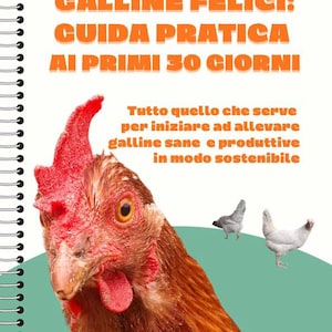 Può includere: Copertina di un libro con il titolo "GALLINE FELICI: GUIDA PRATICA AI PRIMI 30 CIORNI" in arancione. La copertina presenta un primo piano di una gallina marrone con cresta e bargigli rossi, e due galline bianche sullo sfondo.