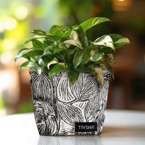 Può includere: Una pianta in vaso con foglie verdi e bianche variegate. Il vaso quadrato presenta un motivo a foglie in bianco e nero. Un'etichetta nera alla base del vaso recita "TINTAMI". Lo sfondo è sfocato.