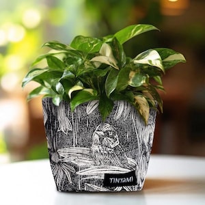 Può includere: Una pianta in vaso con foglie verdi e bianche variegate è in un vaso a fantasia bianco e nero. Il vaso presenta un design stilizzato di uccelli e fiori. Il vaso ha il testo "TINTAMI" su una piccola etichetta nera.