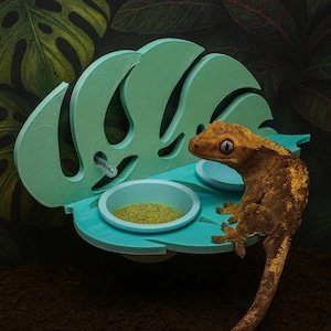 May include: A leaf-shaped reptile feeding ledge in light green, with two small, light blue bowls. A brown gecko sits on the edge. The design mimics a Monstera leaf. The ledge is approximately 20 cm wide.