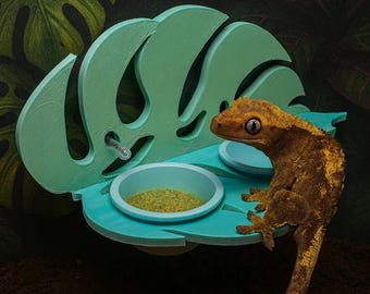 Gecko Feeder with Suction Cup