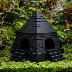 May include: A black pyramid-shaped terrarium with two arched entrances and small staircases. It is set amidst lush green plants, moss, and foliage, creating a naturalistic environment. The terrarium is designed to house small animals, like reptiles.