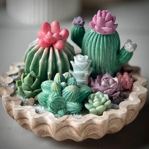 May include: A decorative succulent arrangement featuring various green, pink, and purple cacti and succulents. The arrangement is set in a light brown, wavy-edged wooden bowl, creating a miniature desert garden aesthetic.
