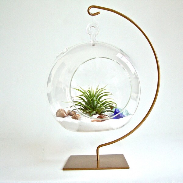 Hanging Glass Globe Air Plant Terrarium with Gold Painted Stand / Hanging Glass Orb Air Plant Terrarium,Hanging Glass Sphere Plant Terrarium