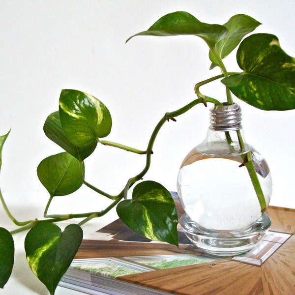 Lightbulb Vase with Clear Base / Light Bulb Home Decor, Repurposed Glass Light Bulb Vase, Upcycled Glass Lightbulb Vase (Without Plant)