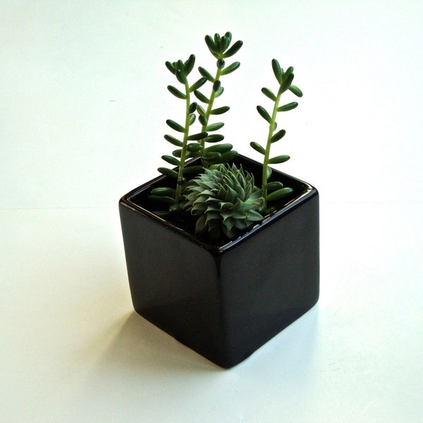 SALE!!! Little Modern Glossy Black Ceramic Cube Planter / Modern Planter / Black Ceramic Planter / Black Ceramic Vase (Without Plants)