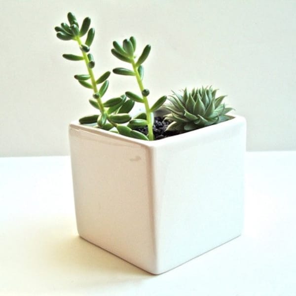 Petit planteur moderne Cube céramique blanc brillant, moderne Vase blanc, Vase en céramique blanc blanc planteur, planteur de poterie blanche (sans plantes)