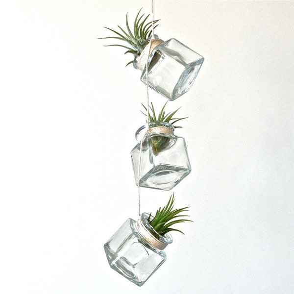 Very Mini Floating Air Plant Glass Square Trio, Modern Minimalist Hanging Air Plant Terrariums, Geometric Terrariums,Hanging Air Plant Vases