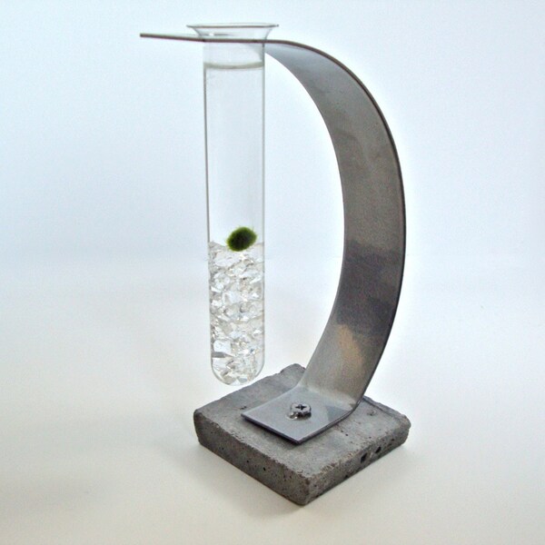 Marimo Moss Ball Test Tube Aquarium - Science Geek Modern Decor / Industrial Decor